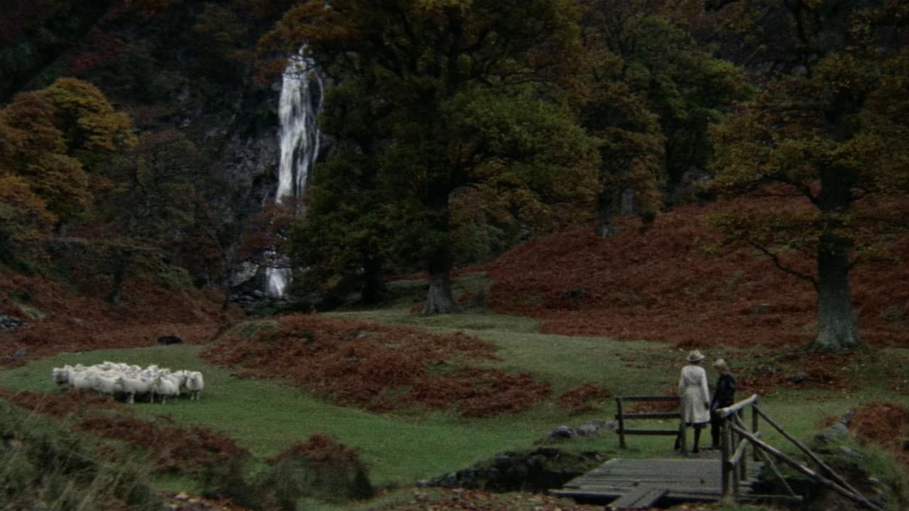 Images still 4