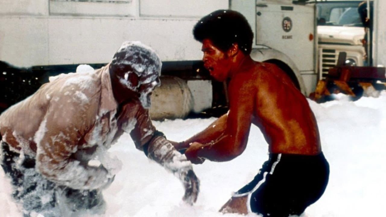 Black Belt Jones still 8