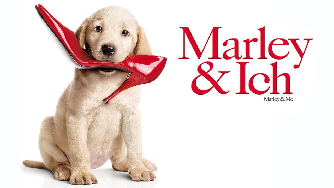 Marley & Me still 5