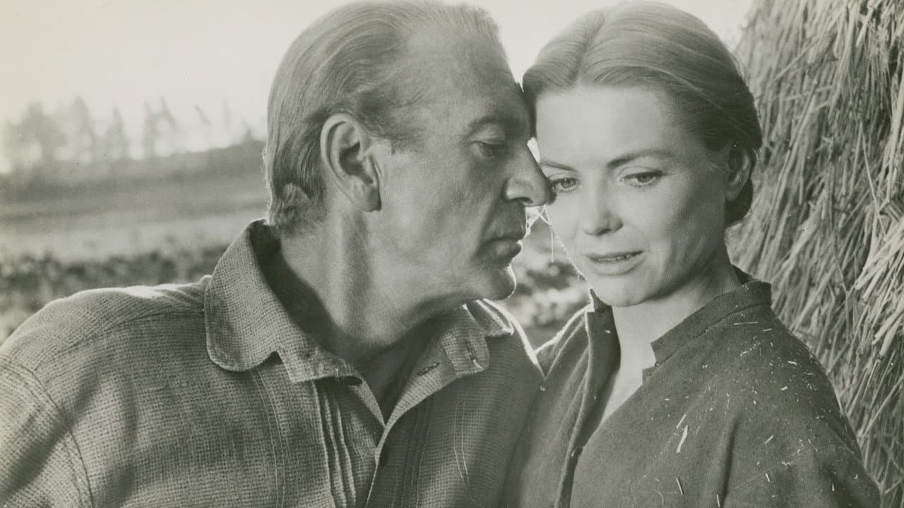 Friendly Persuasion still 4