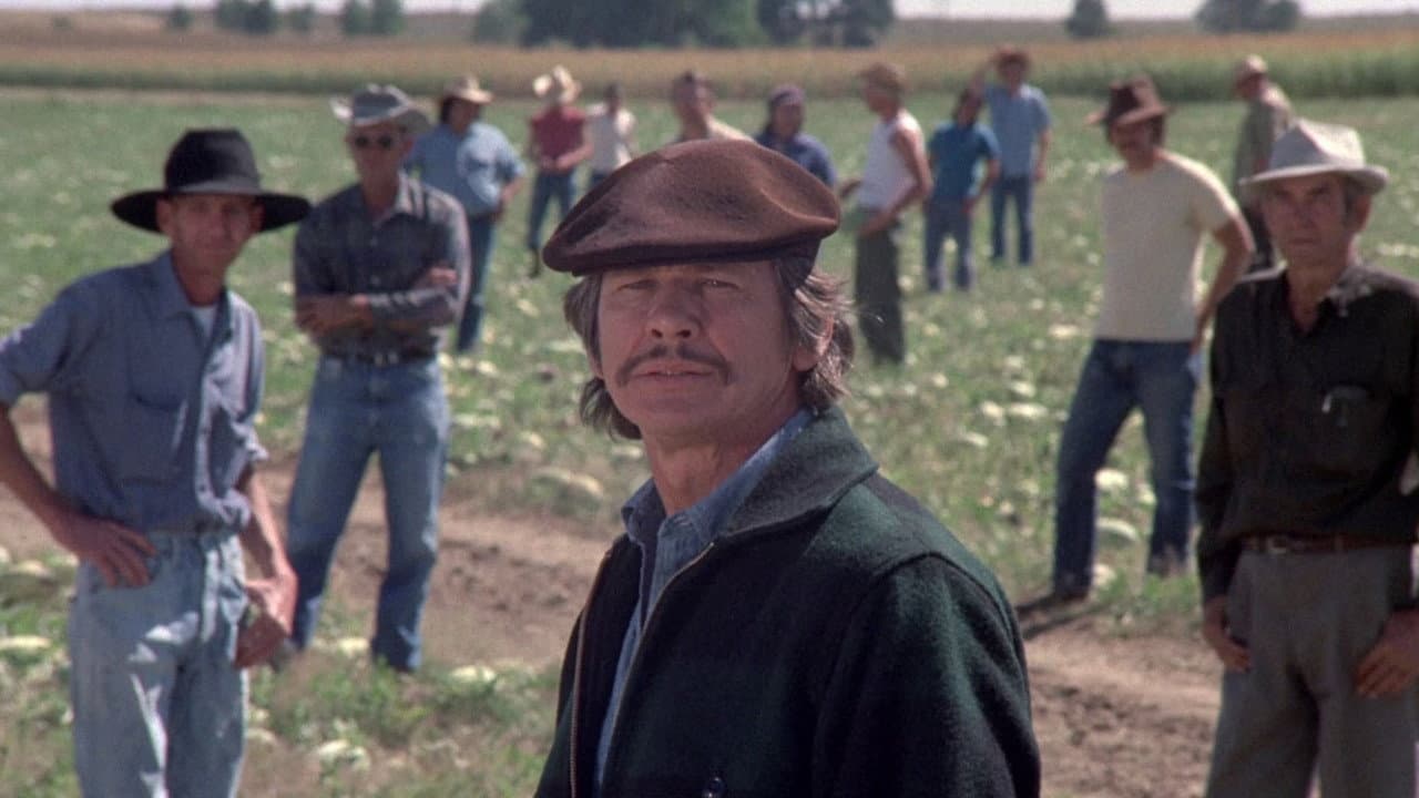 Mr. Majestyk still 7