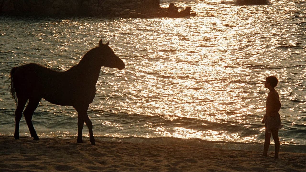 The Black Stallion still 2