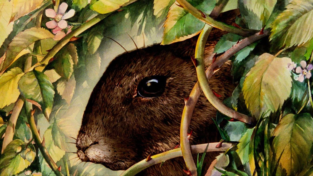 Watership Down still 2