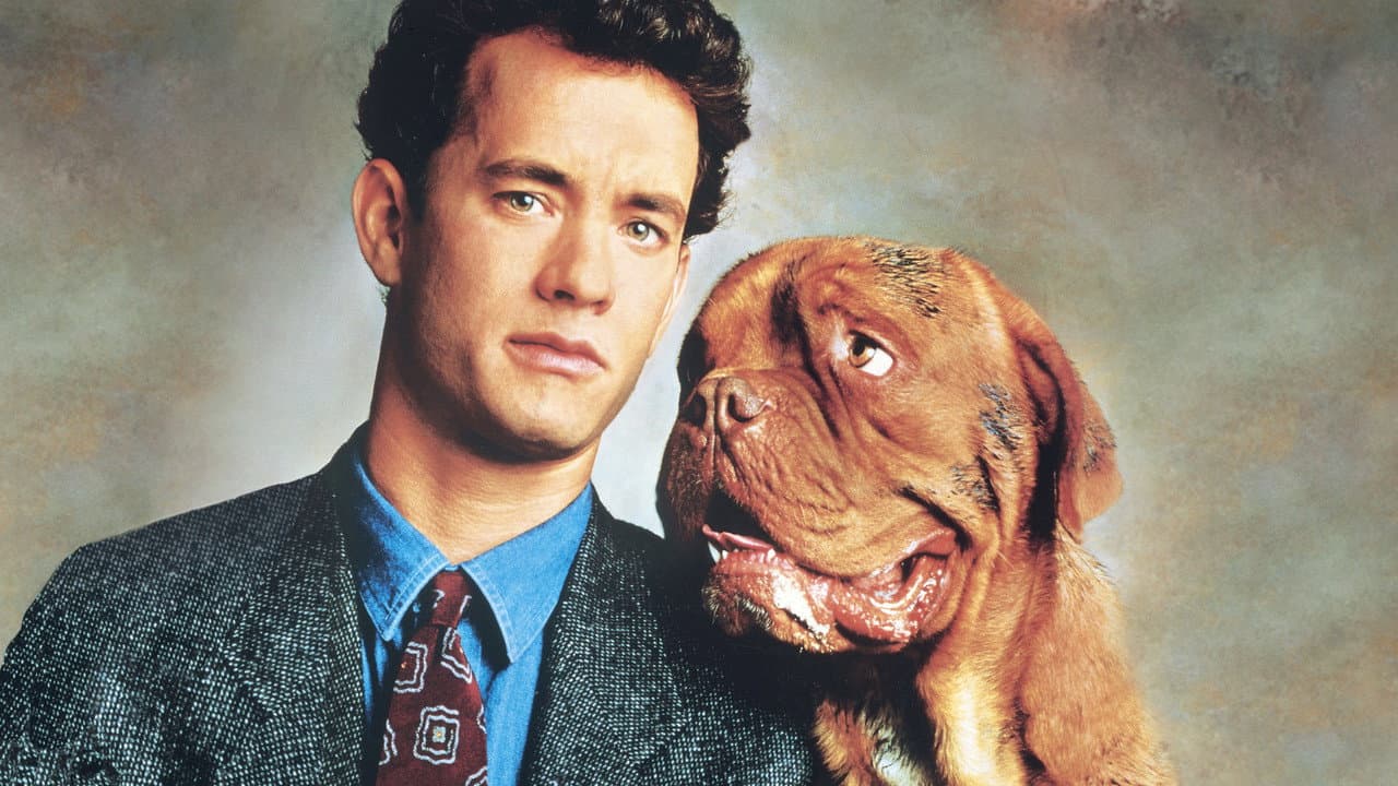 Turner & Hooch still 3