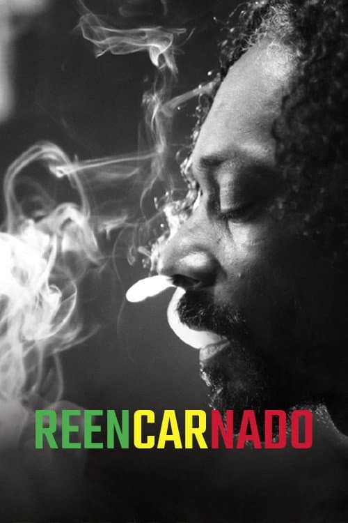 Reincarnated still 5